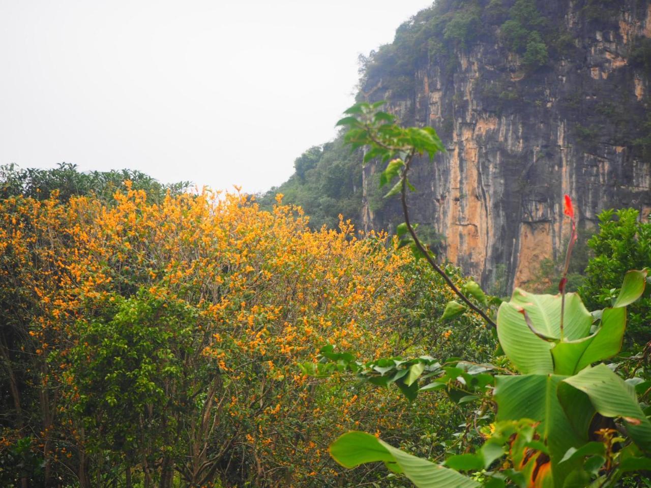 Yangshuo Moon Resort Hotel Zewnętrze zdjęcie